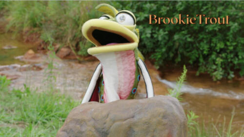 Brookie Trout 