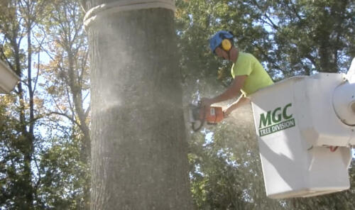MGC Landscaping Commercial